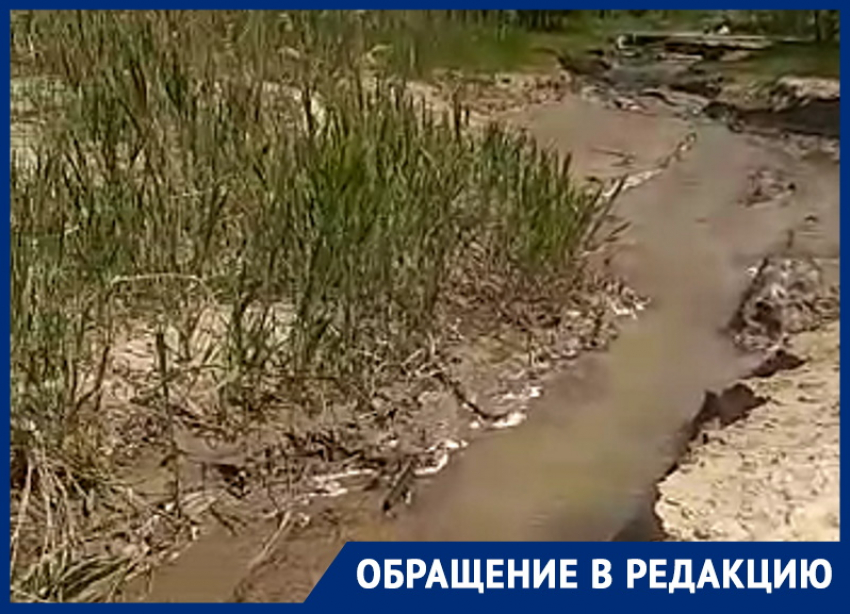 Подозрительный ручей из Волгодонска в Цимлянское водохранилище обнаружили очевидцы