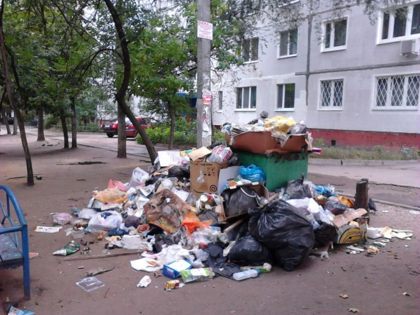Волгодонск прославился на весь регион своим мусором