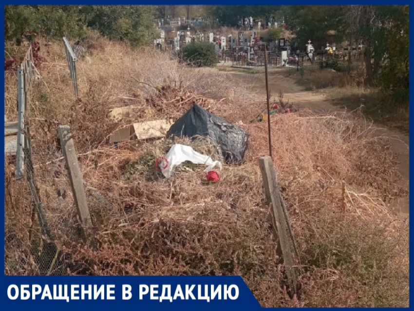 «Все кладбище в зарослях, мусоре и зловонии – когда будет наведен порядок?»: жители Цимлянска
