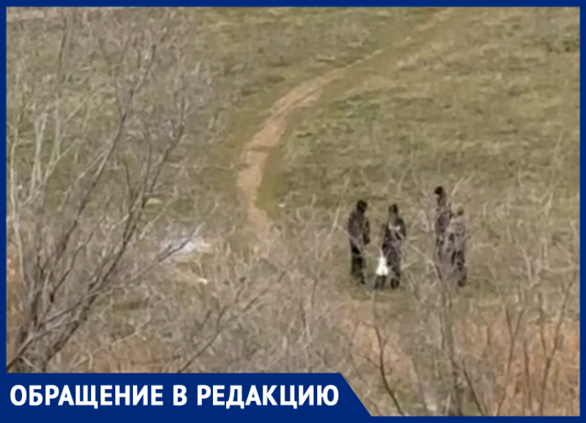 «Малыши-карандаши бросают петарды и гремят на весь квартал!»: волгодончанка возмущена поведением детей на проспекте Мира