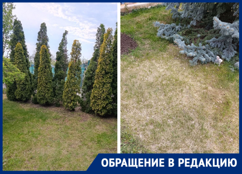 «Всё гибнет и пропадает»: садоводы СНТ «Мичуринец» второй год без полива в мае