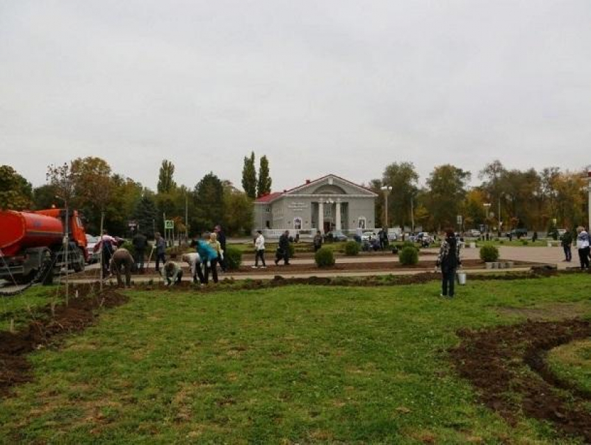 Более 1000 организаций и предприятий приняли участие в уборке Волгодонска этой осенью