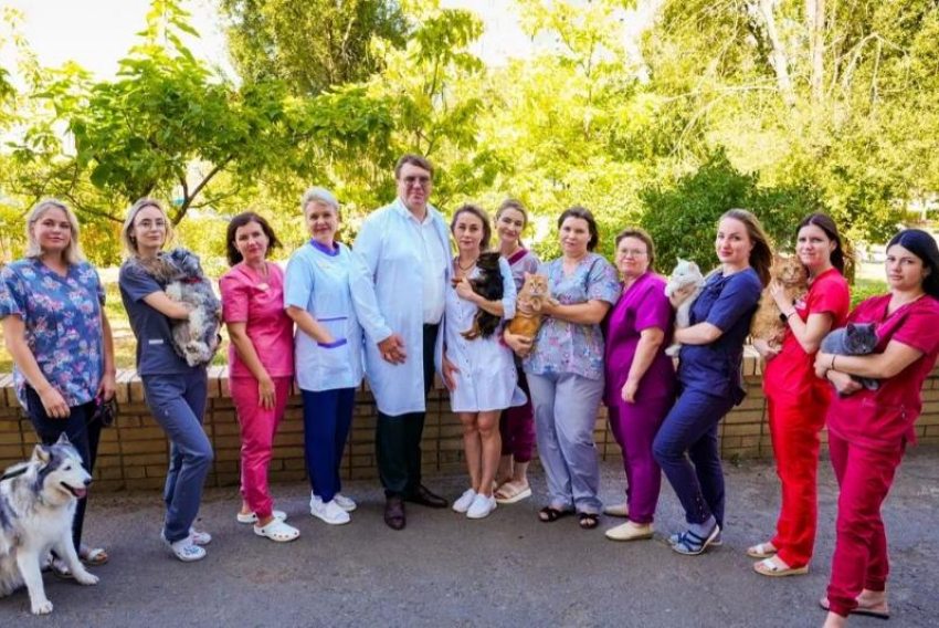 Одни мурчат, другие виляют хвостами от счастья: так четвероногие и хвостатые благодарят своих героев в белых халатах