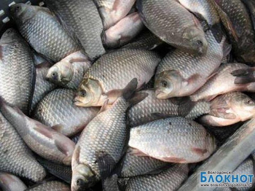 На дороге в Дубовку задержали возможного браконьера