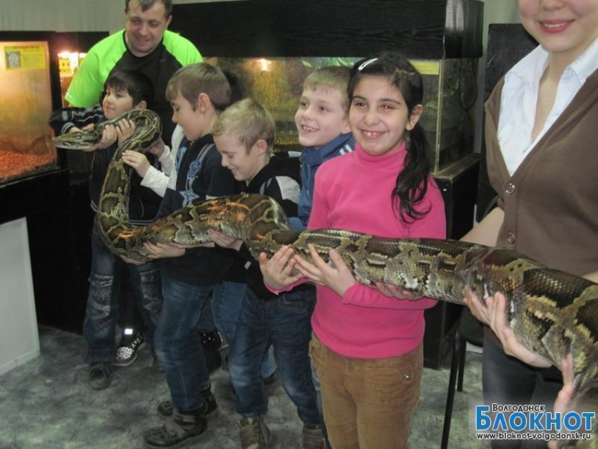 В Волгодонске открылась выставка экзотических животных