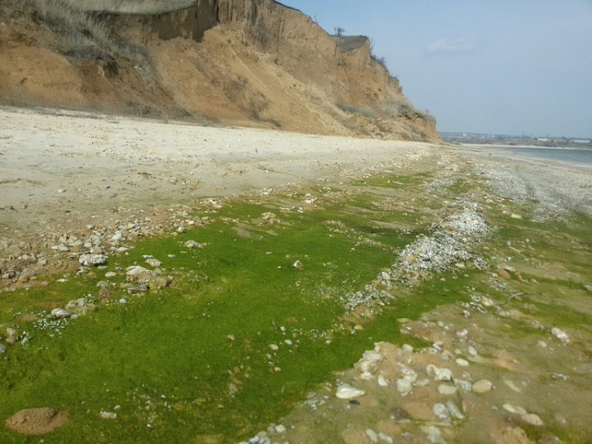 Приток воды в Цимлянское море вырос на одну треть по сравнению с прошлым годом