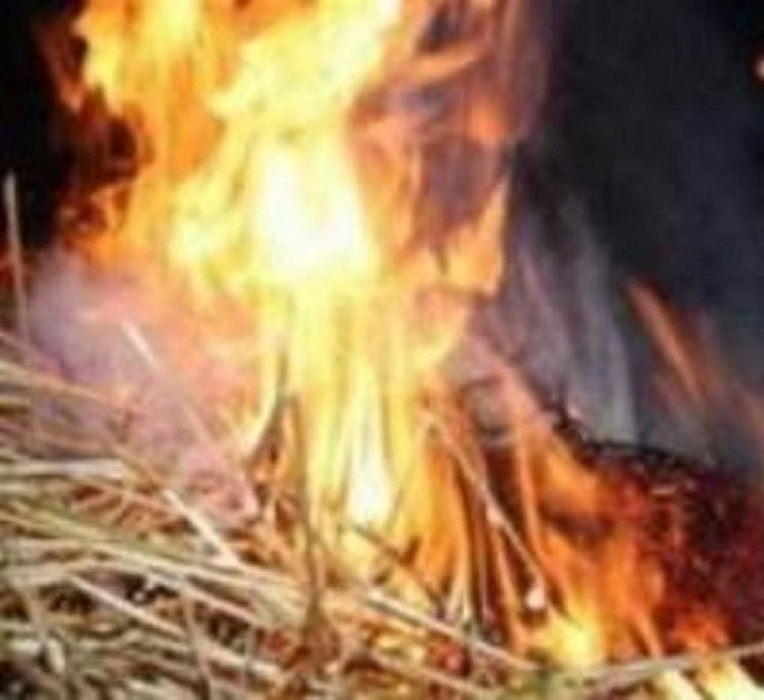 В Мартыновском районе сгорел склад сена