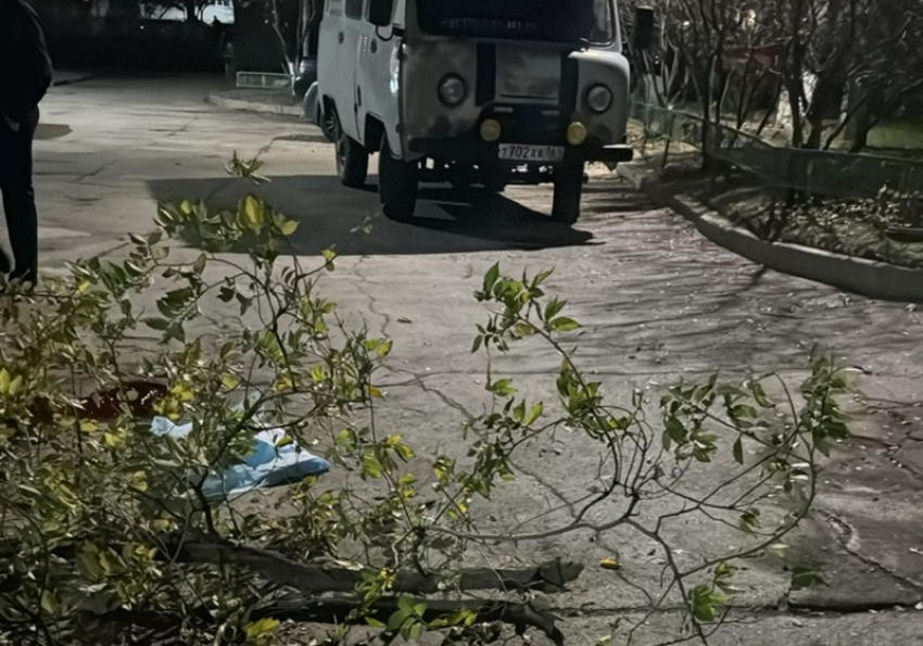 Молодой мужчина погиб при падении из МКД на Весенней в Волгодонске