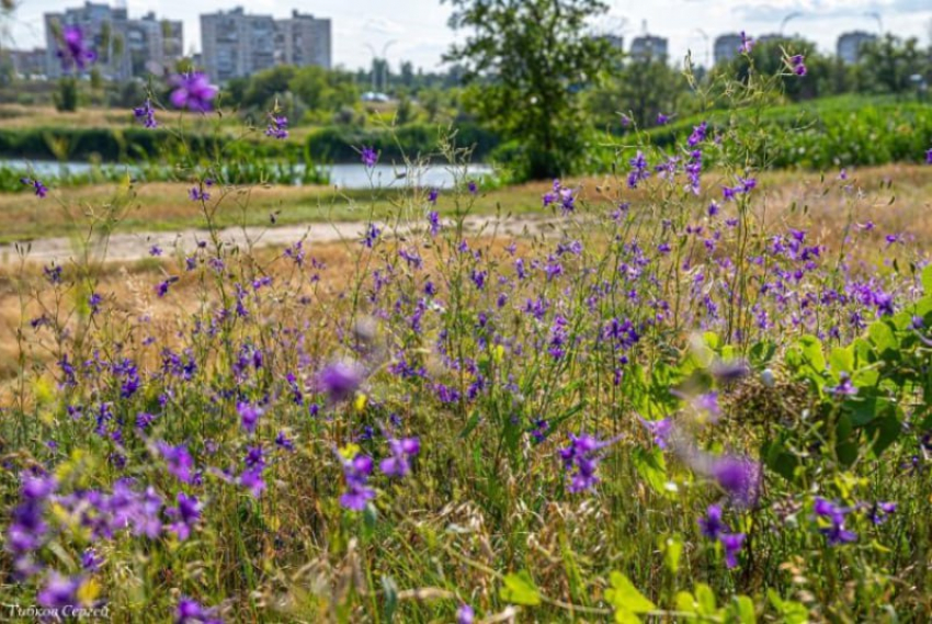 Облачный и ветреный денек будет сегодня в Волгодонске 