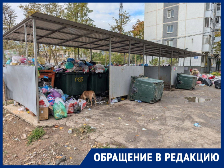 «К контейнеру не подойти!» Горожанка возмущена стихийной мусорной свалкой во дворе  