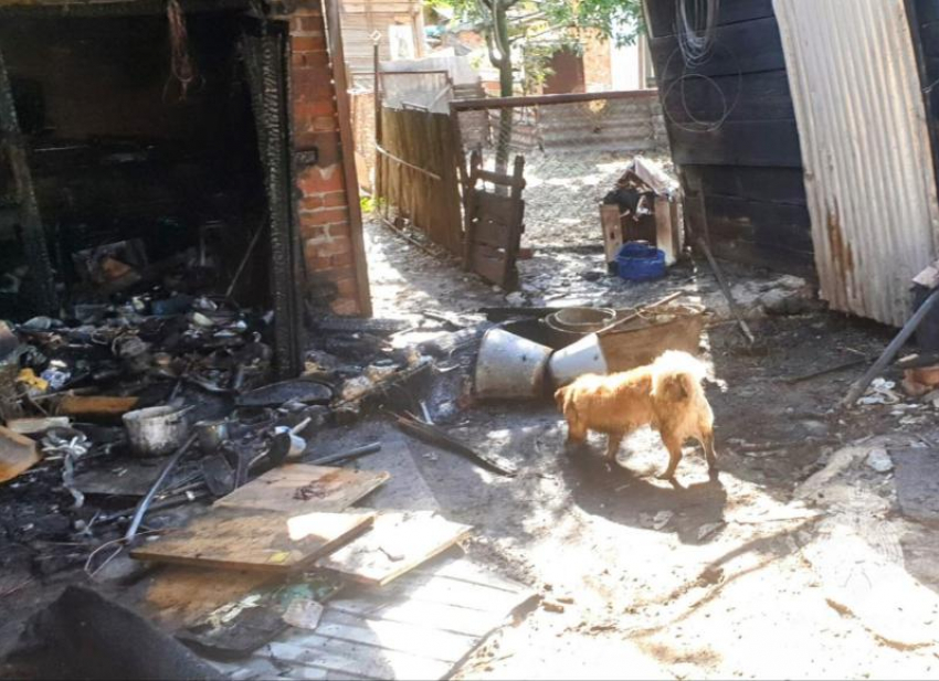 Бросился в огонь спасать пса: 71-летний мужчина пострадал при пожаре в Ремонтном