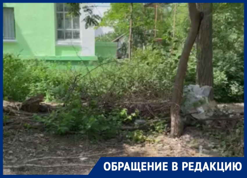 «Живем, как в свинарнике»: состояние сквера депутатов в Волгодонске показали местные жители