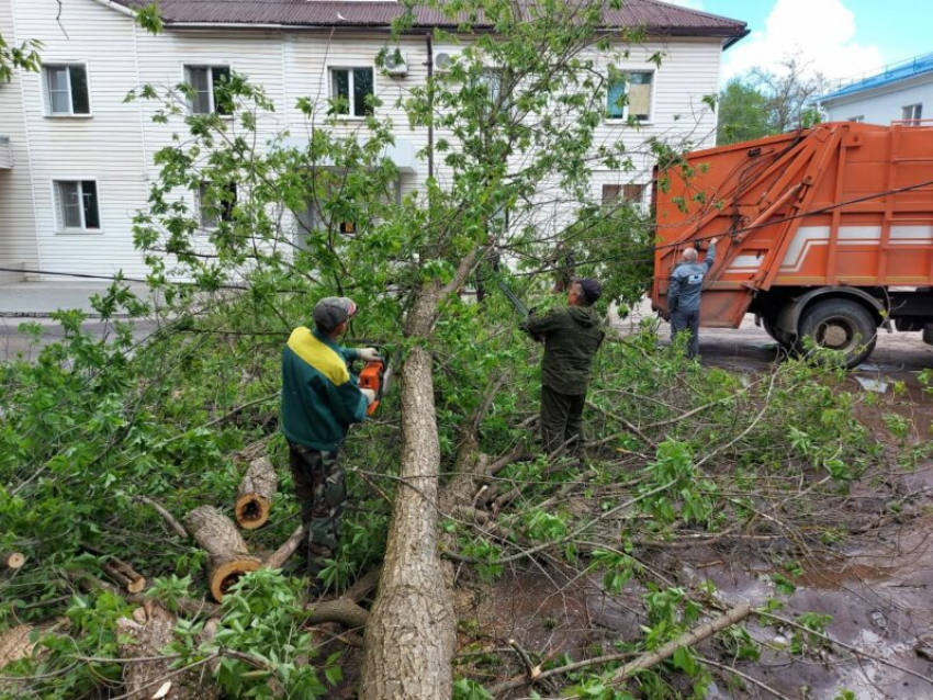 Волгодонские коммунальщики продолжают уборку упавших деревьев и восстанавливать электроснабжение в домах