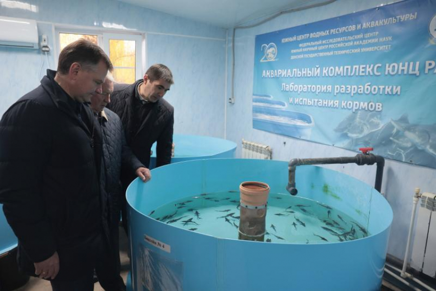 Губернатор поручил развивать водные биоресурсы в бассейне Азовского моря