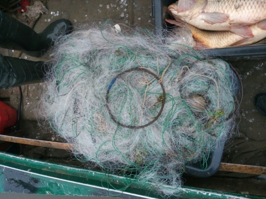В Волгодонске очередной рыбак полез в воду с сетями