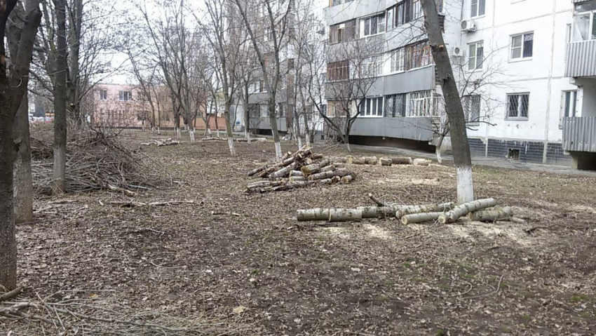 К концу марта в Волгодонске обрежут деревья на 60-и улицах и переулках