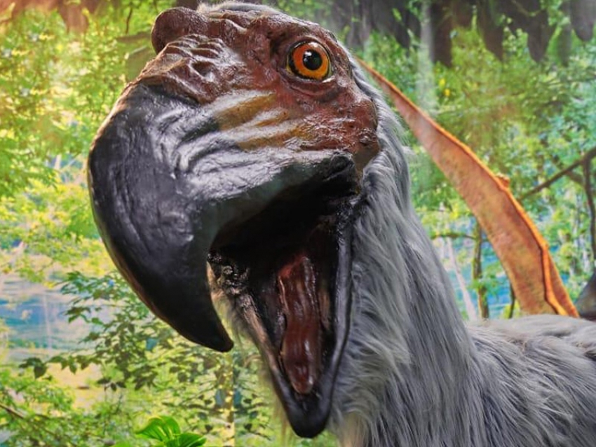 Волгодонцы могут лично познакомиться с тираннозавром Рексом и его сородичами