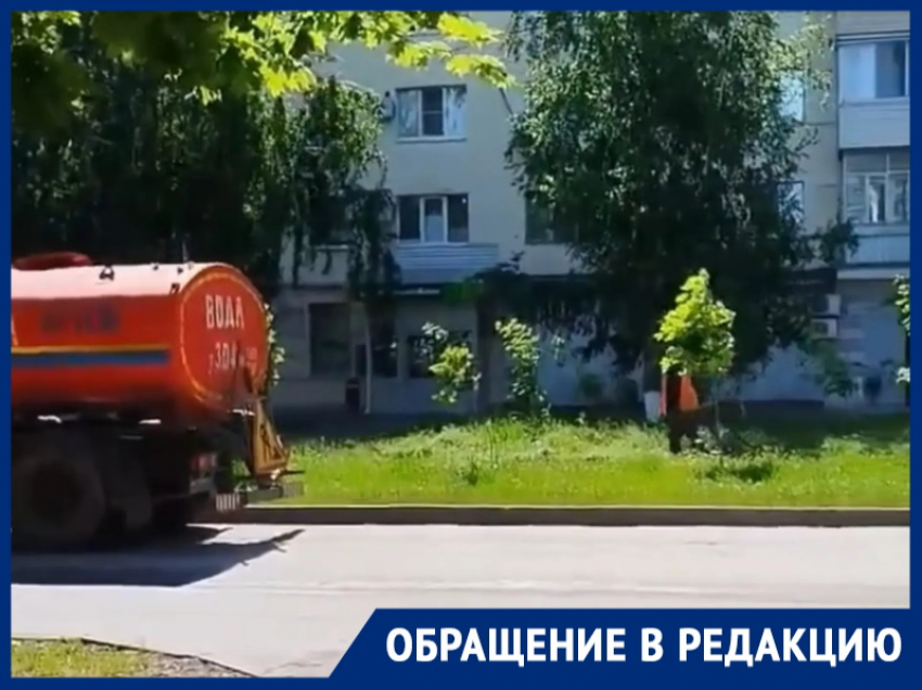 «В жару поливайте деревья, а не когда накрывают дожди!»: горожанка переживает за судьбу насаждений на Ленина