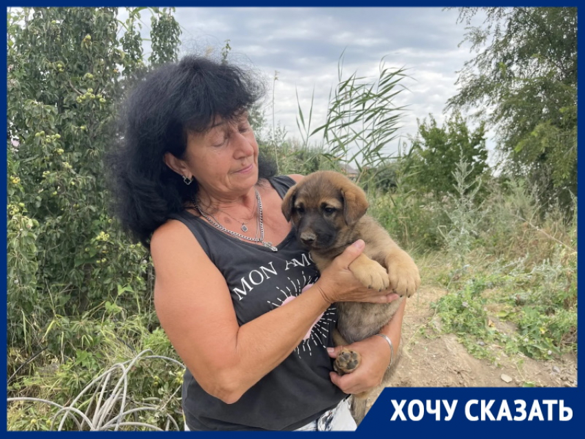 «Щенка спасли, а дети могут погибнуть!»: горожане просят огородить опасный колодец у дороги на старый пляж В-9