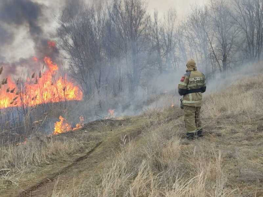 На берегу залива пожарные начали устраивать контролируемые выжигания