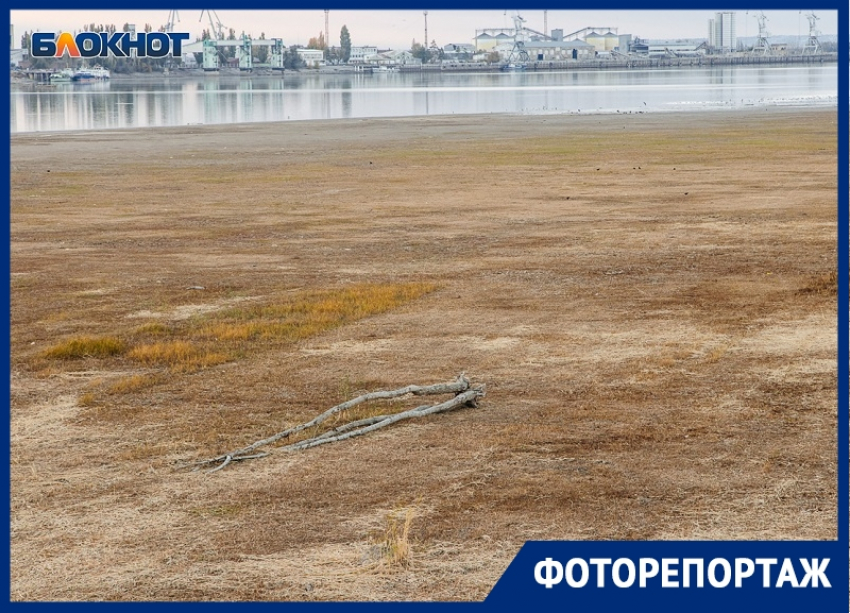 Что происходит с Цимлянским водохранилищем, и случится ли в Волгодонске водная катастрофа после обмеления водоема