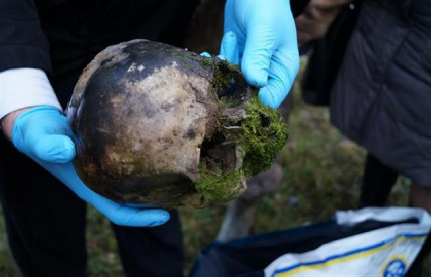 Человеческий череп нашли в лесополосе около волгодонского химзавода 