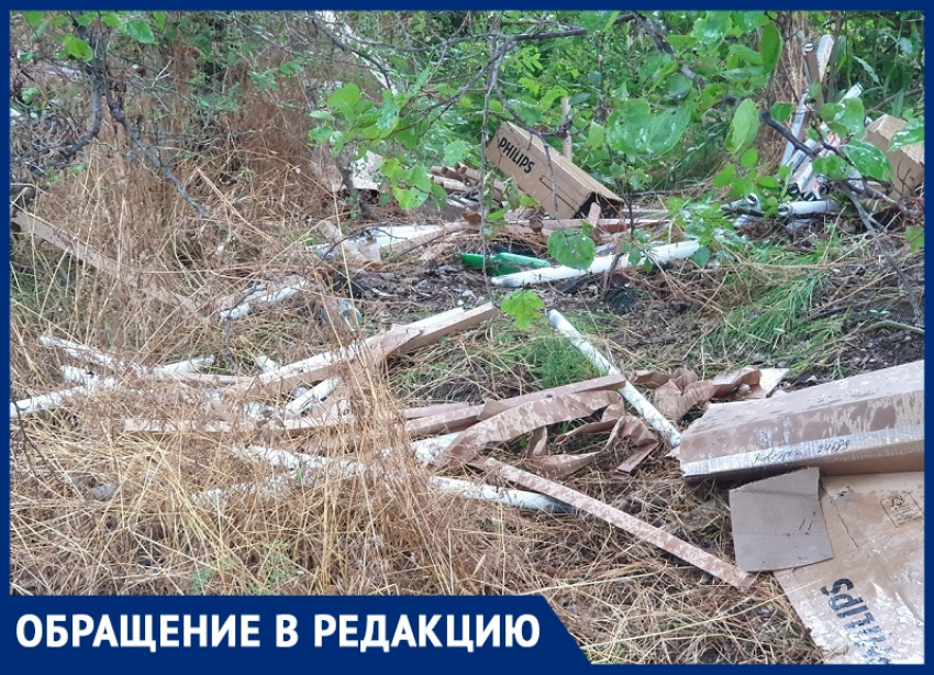 Экологическая катастрофа: десятки ртутных ламп выбросили на окраине Волгодонска 