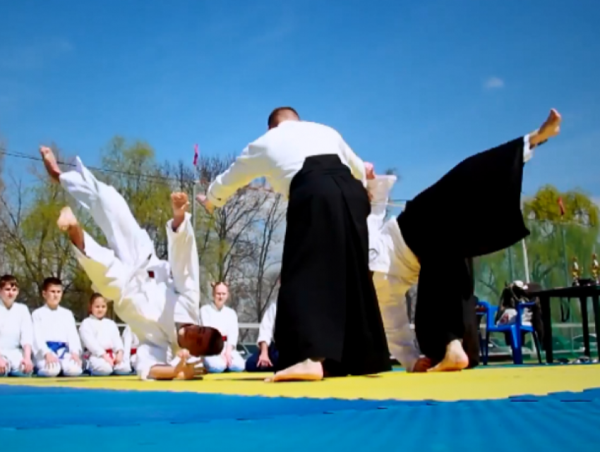 Как надо держать удар показали на Фестивале боевых искусств в Волгодонске