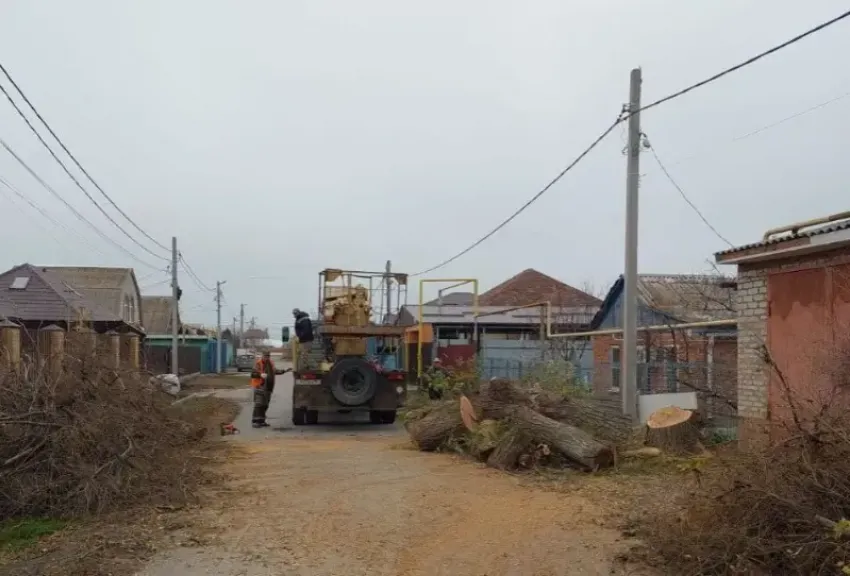 Больше полутора тысяч деревьев спилили в Волгодонске за 2025 год