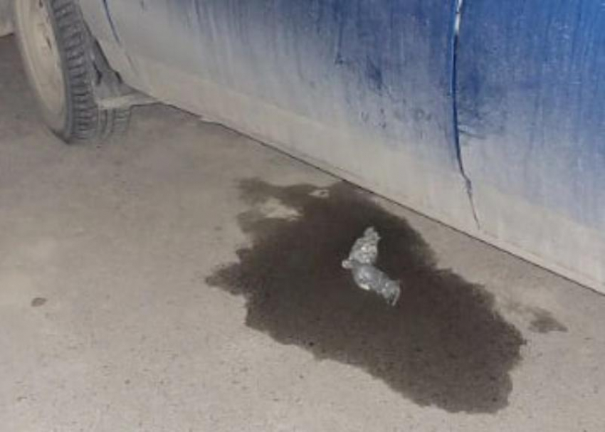 Малолетние радикалы с Карла Маркса обмочили автомобили «водяными бомбами»: жители ищут виновников 