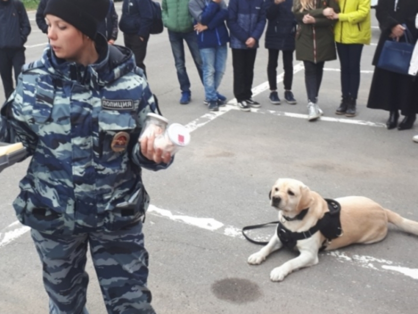 Полицейским собакам в Волгодонске ищут ветеринарную клинику