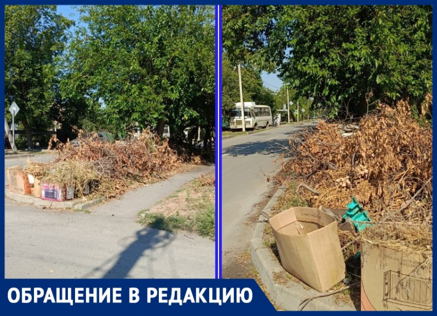 Свалка из веток деревьев мешает обзору водителям: волгодончанка