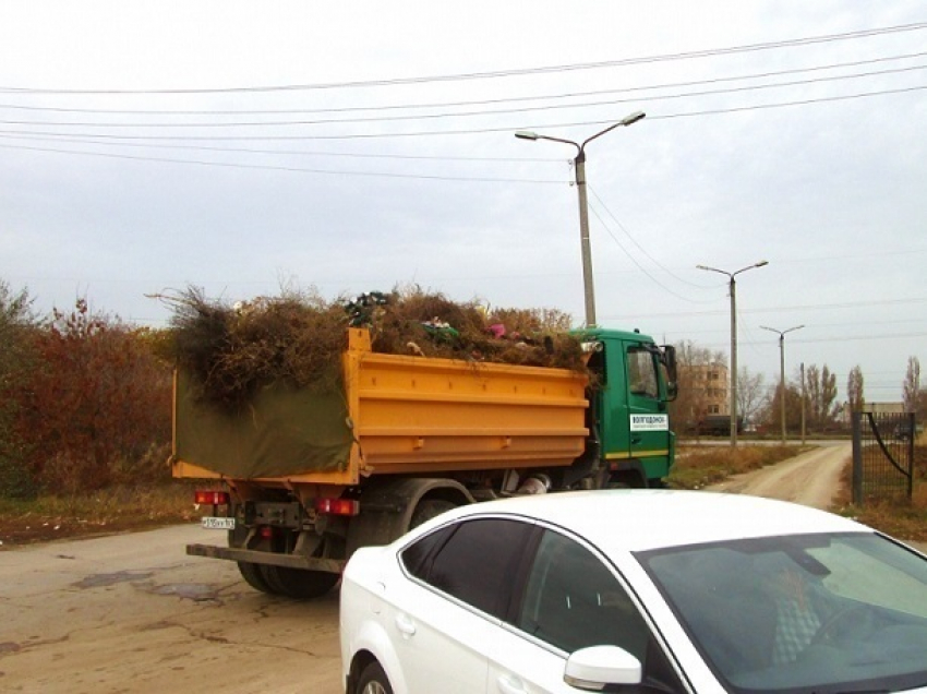 Волгодонские коммунальщики опасаются, что очистить кладбище им помешает мусорный ветер