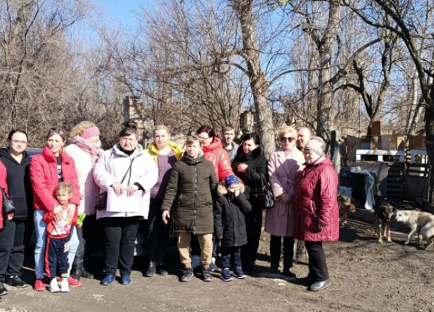 «Машиностроитель» в шоке!: квазиналог на дачников для отлова и  содержания бродячих собак в частном приюте могут ввести в Волгодонске