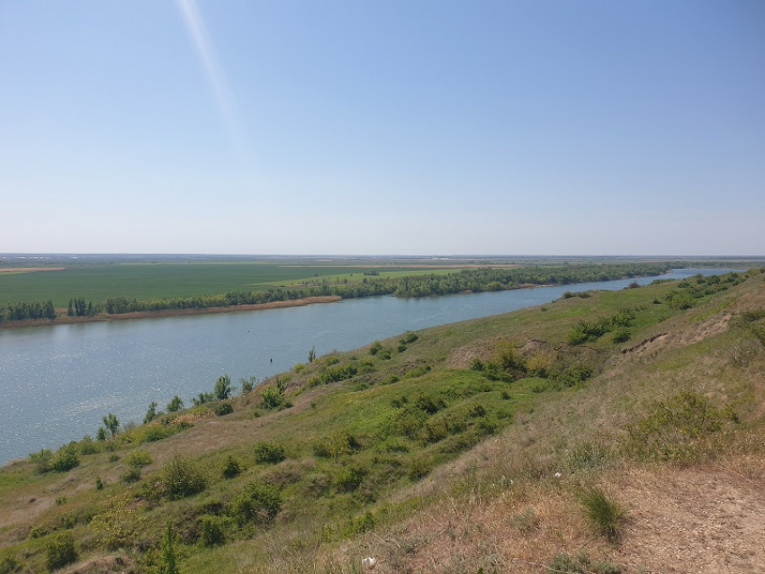 Под Константиновском расширят завод по воспроизводству прожорливых рыб-камышеедов