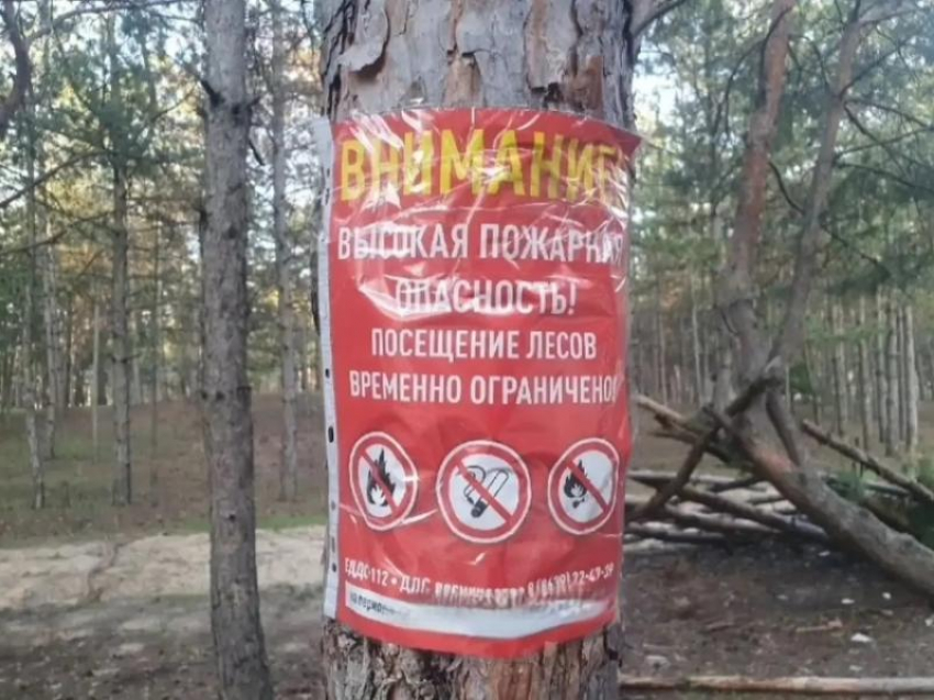 До 2 июля нельзя: волгодонцам запретили ходить в леса