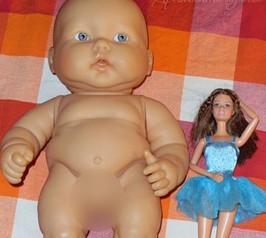В России хотят запретить кукол Барби и Кена - а что об этом думают волгодонцы
