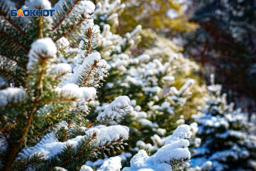 «Будет много снега и мороз»: в новогоднюю ночь синоптики обещают волгодонцам зимнюю сказку