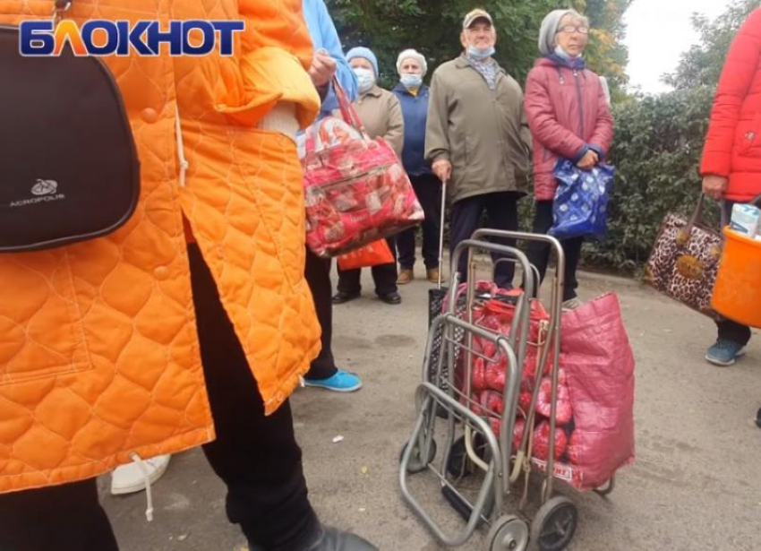 Когда в Волгодонске запустят регулярное движение дачных автобусов 