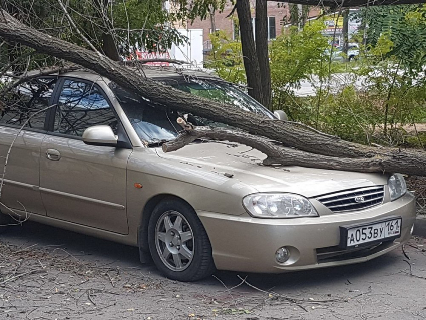 Пока волгодонец обедал его машину изуродовало упавшее сухое дерево 