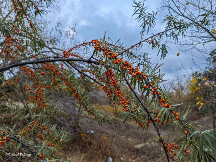 Сегодня в Волгодонске будет ясный день