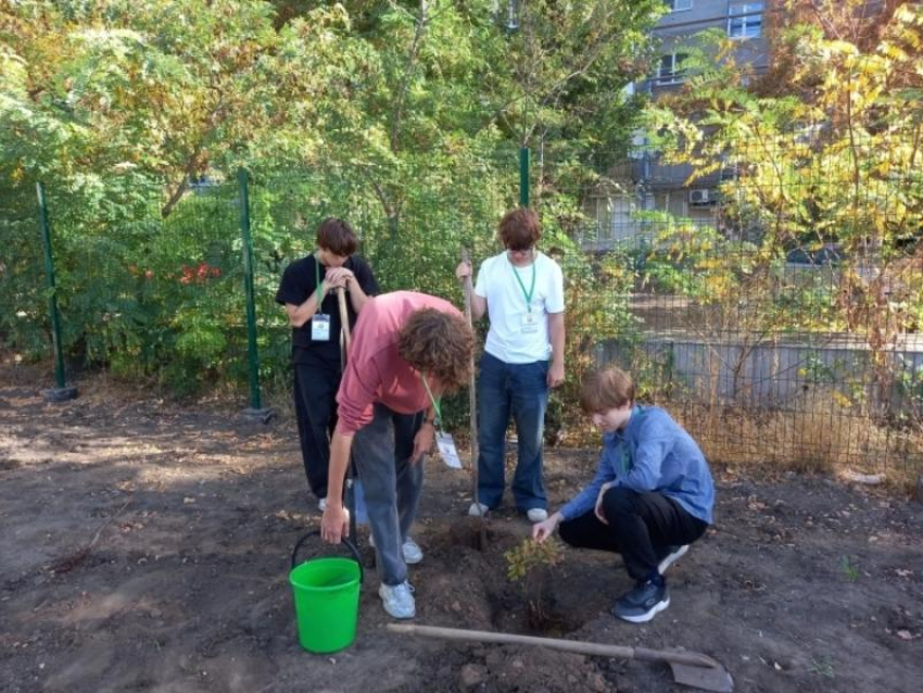 Юные эко-активисты города высадили саженцы каштанов и красного дуба 