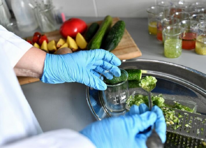 Антракноз, бактериоз: чем ещё могут болеть огурцы, которые не стоит покупать на рынках Волгодонска