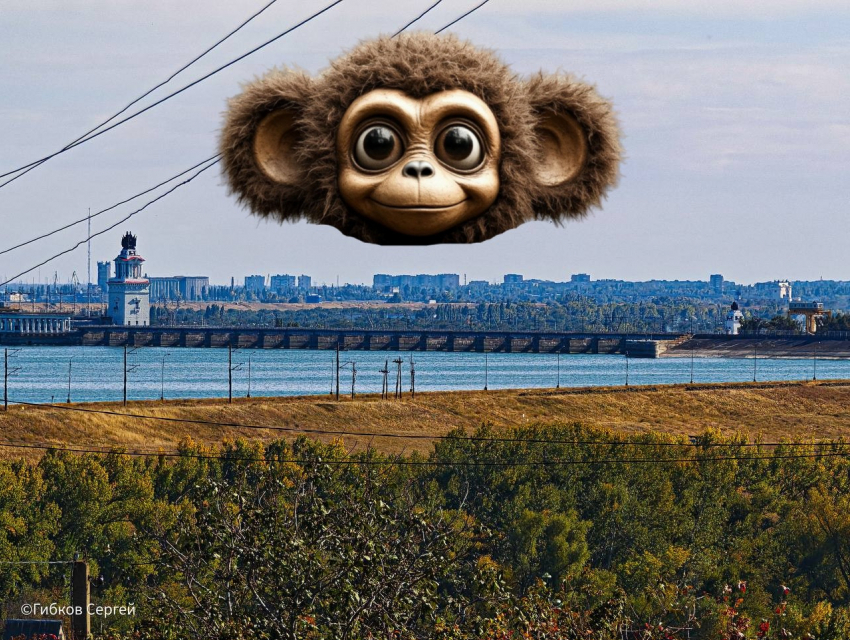 В Волгодонске после суточной блокировки заработал мобильный интернет