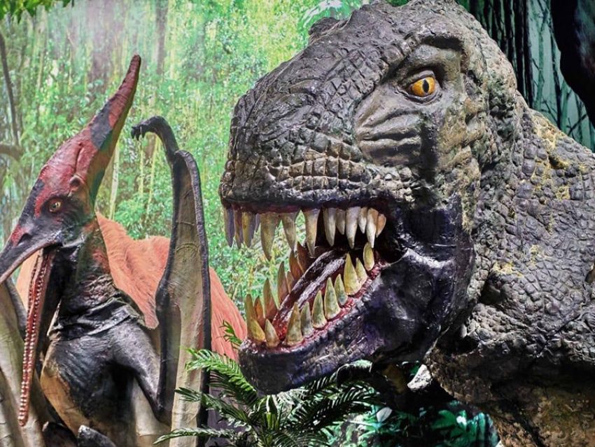 Выставка двигающихся динозавров уже в Волгодонске