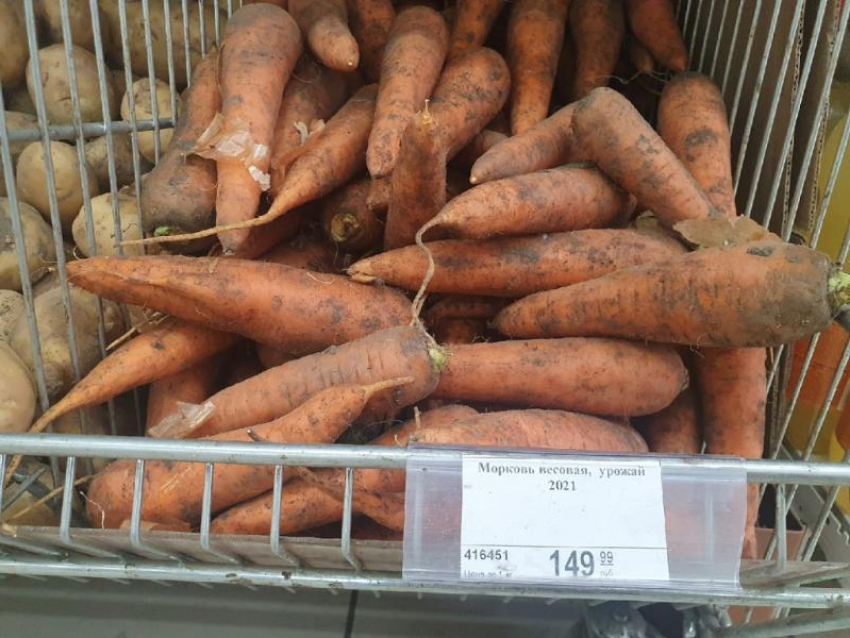 Покупать морковь по завышенной цене не готовы свыше 90% читателей «Блокнота» 