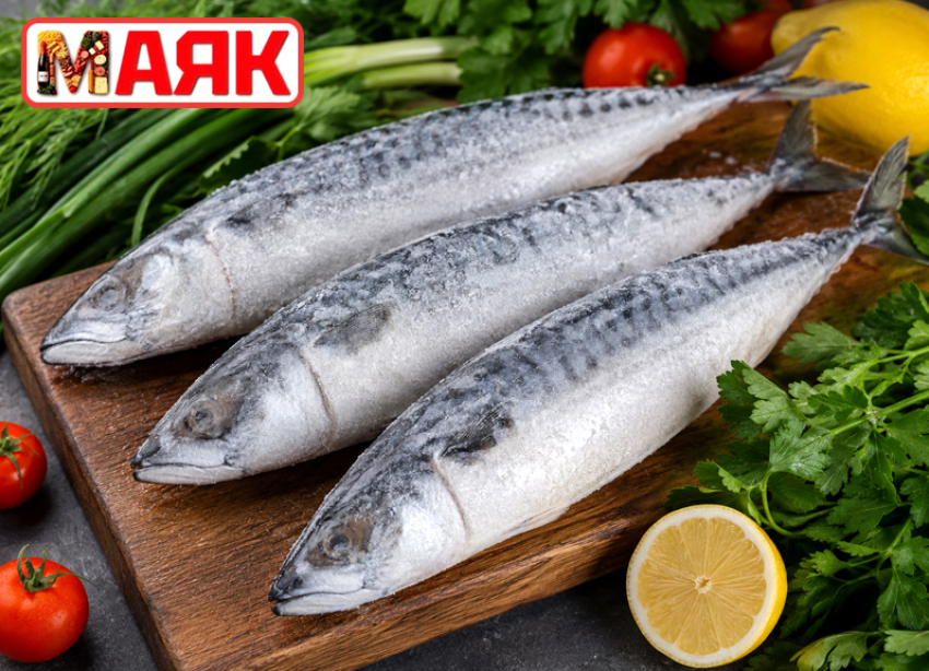 Товар дня: скумбрия свежемороженая  за 300 ₽/кг