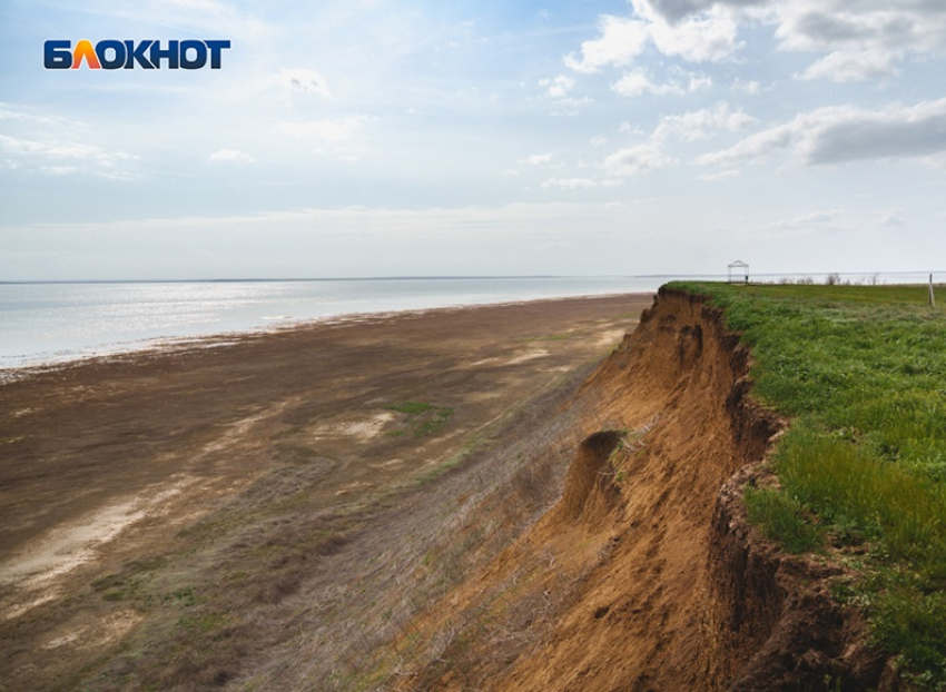 Ученые исследуют тайны древнего пролива между Каспием и Азовским морем с помощью растений-маркеров