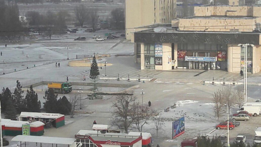 Власти города просят волгодонцев не воровать игрушки с новогодних елок