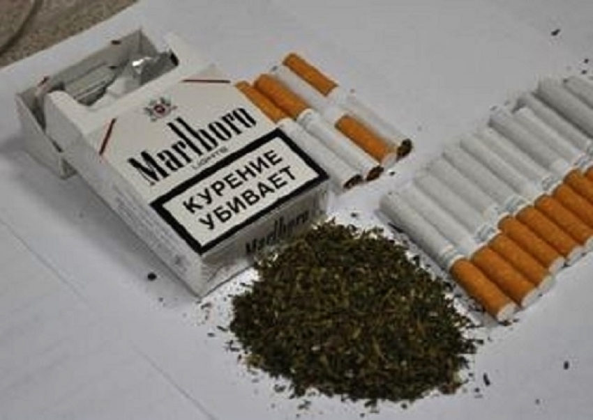  Волгодонец маскировал марихуану под табак